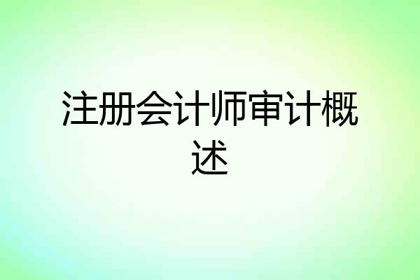 注册会计师审计概述