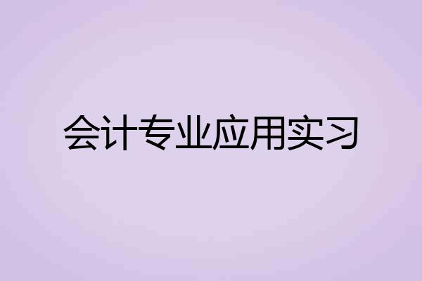会计专业应用实习