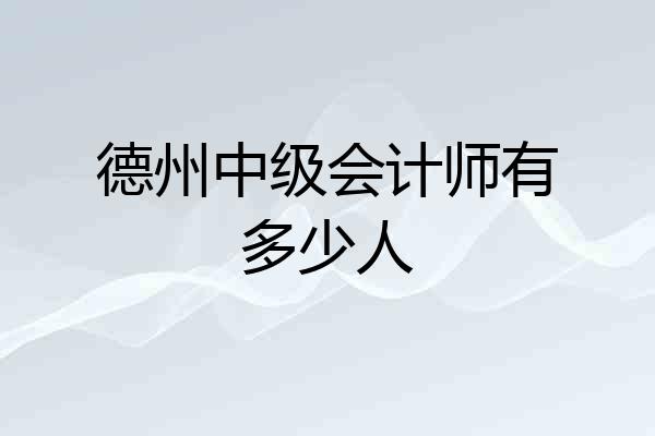 德州中级会计师有多少人
