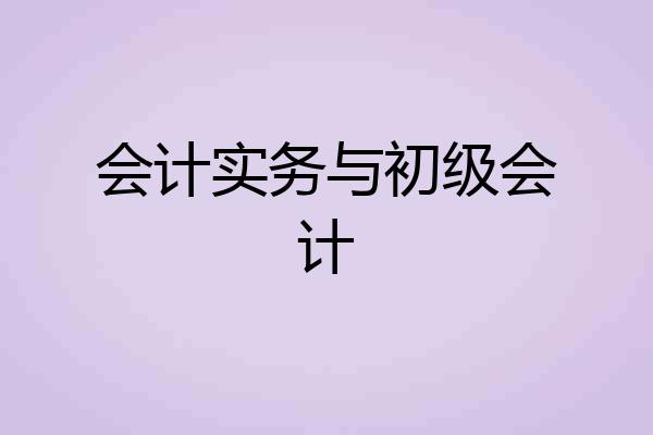 会计实务与初级会计