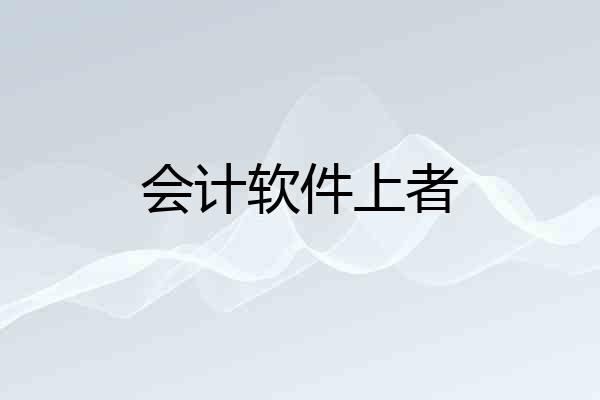 会计软件上者