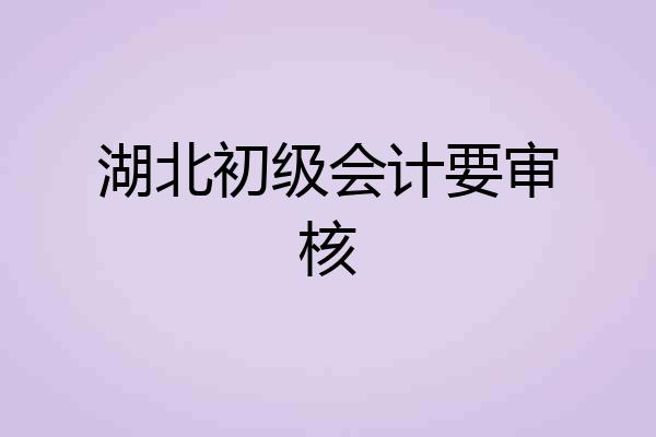 湖北初级会计要审核