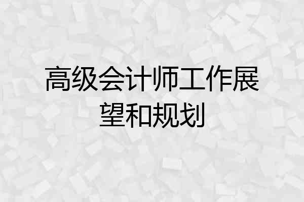 高级会计师工作展望和规划