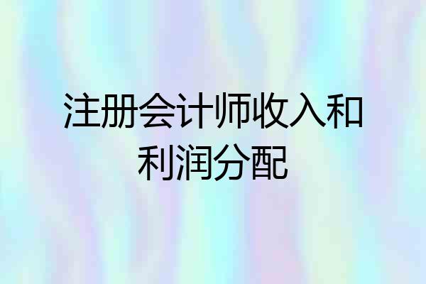 注册会计师收入和利润分配