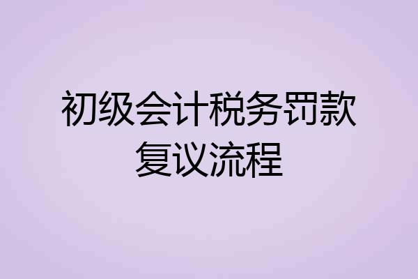 初级会计税务罚款复议流程