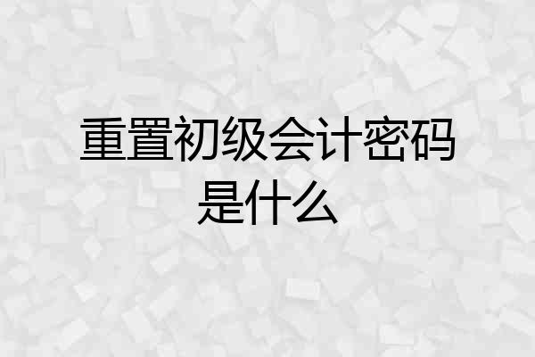重置初级会计密码是什么