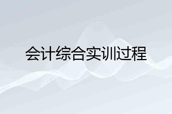会计综合实训过程