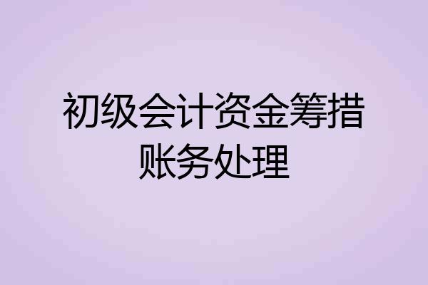 初级会计资金筹措账务处理
