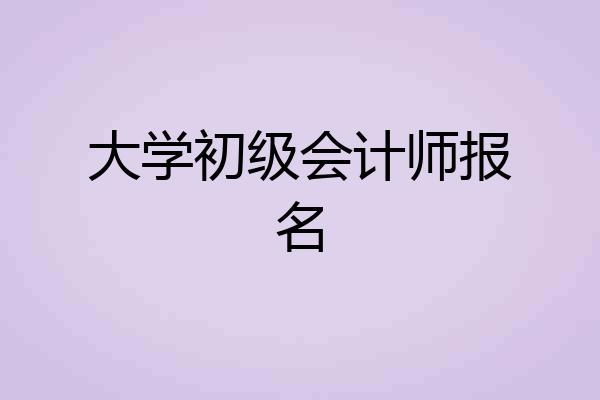 大学初级会计师报名