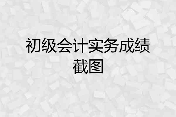 初级会计实务成绩截图
