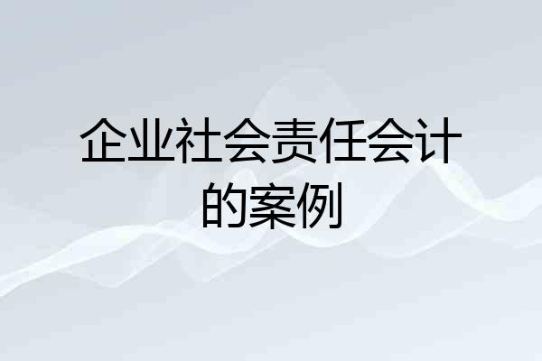 企业社会责任会计的案例
