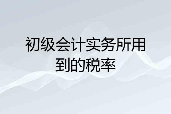 初级会计实务所用到的税率