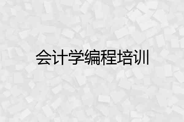 会计学编程培训