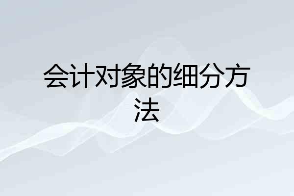 会计对象的细分方法