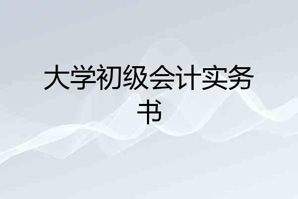大学初级会计实务书