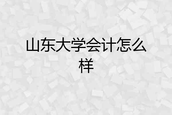 山东大学会计怎么样
