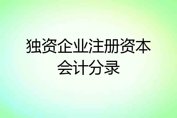 独资企业注册资本会计分录