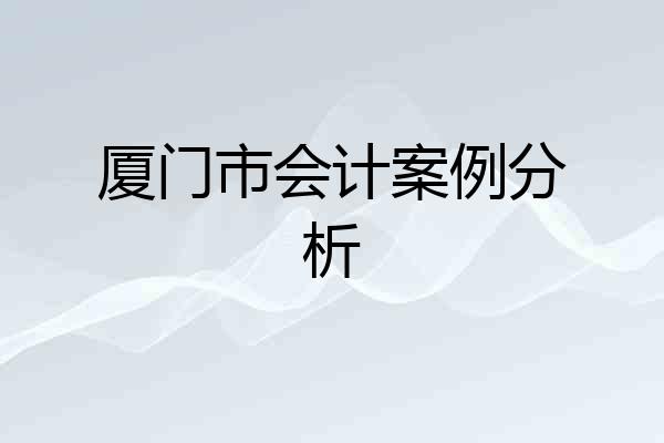 厦门市会计案例分析
