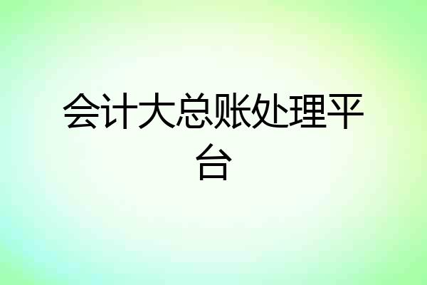 会计大总账处理平台