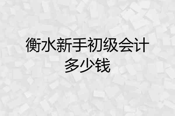 衡水新手初级会计多少钱