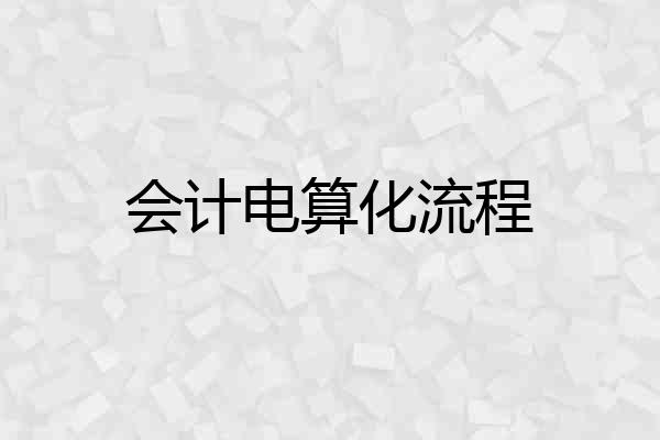 会计电算化流程