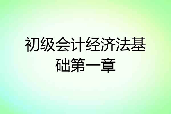初级会计经济法基础第一章