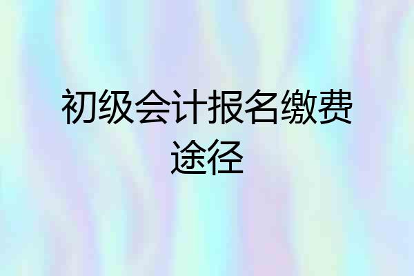 初级会计报名缴费途径
