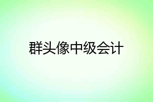 群头像中级会计