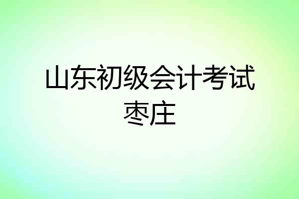 山东初级会计考试枣庄