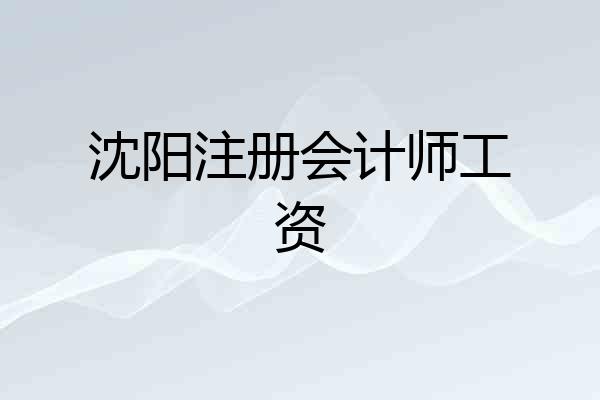 沈阳注册会计师工资