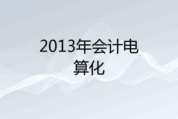 2013年会计电算化
