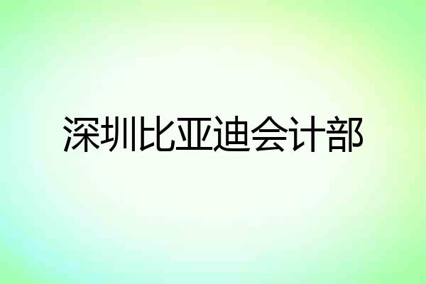 深圳比亚迪会计部