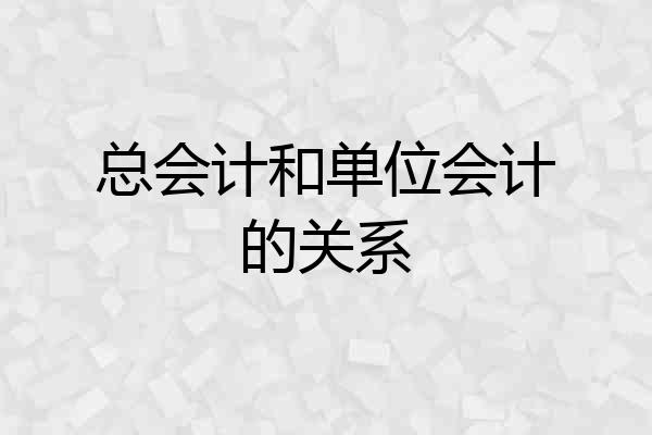 总会计和单位会计的关系