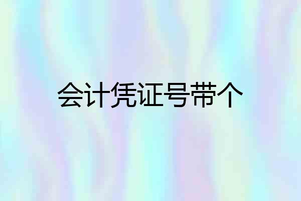 会计凭证号带个
