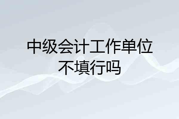 中级会计工作单位不填行吗