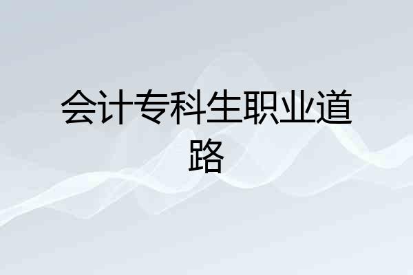 会计专科生职业道路