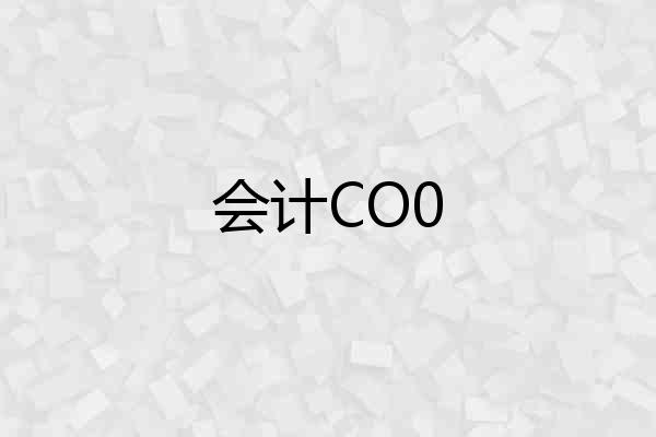 会计CO0