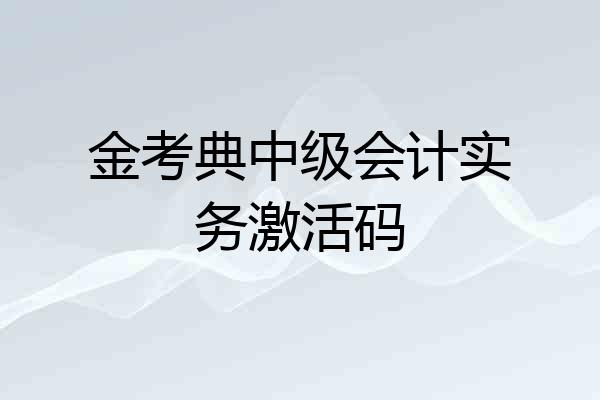 金考典中级会计实务激活码