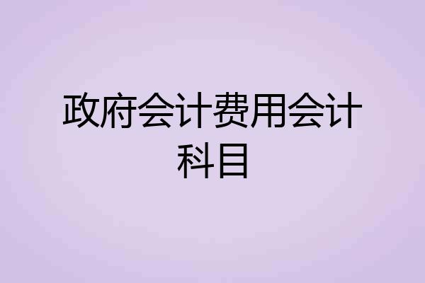 政府会计费用会计科目