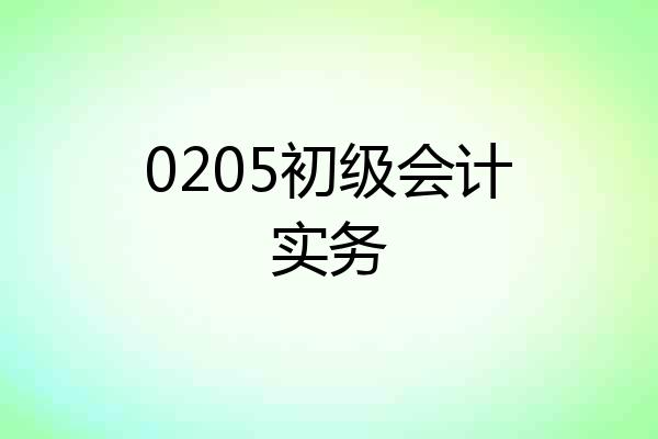 0205初级会计实务