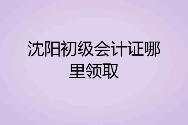 沈阳初级会计证哪里领取