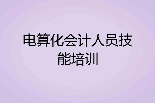 电算化会计人员技能培训