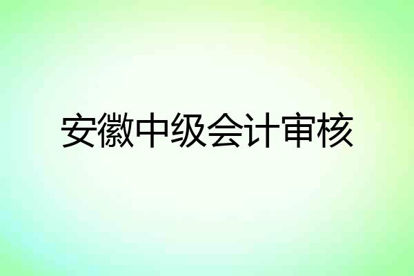 安徽中级会计审核