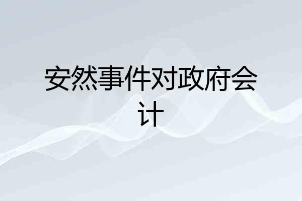 安然事件对政府会计