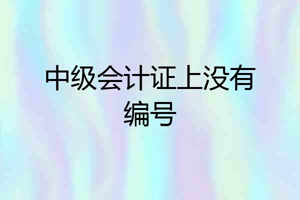 中级会计证上没有编号