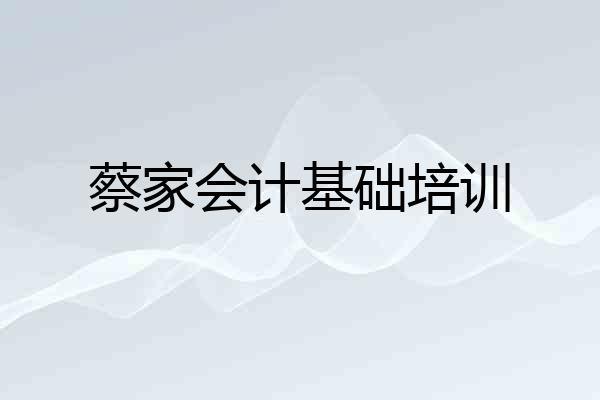 蔡家会计基础培训