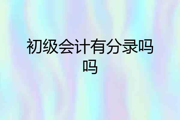 初级会计有分录吗吗