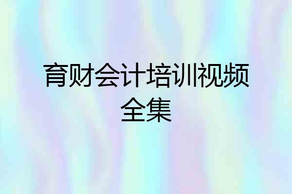 育财会计培训视频全集