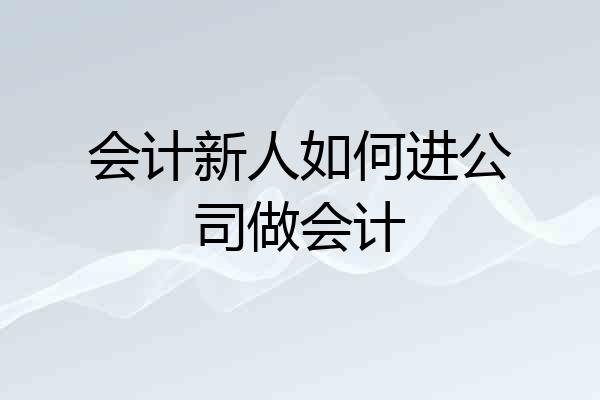 会计新人如何进公司做会计