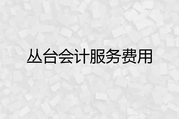丛台会计服务费用
